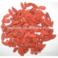 Chinese Dried Red Medlar